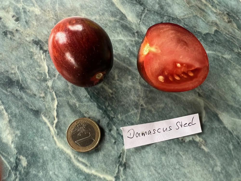 Tomatensamen und Pflanzen verschiedene Sorten 