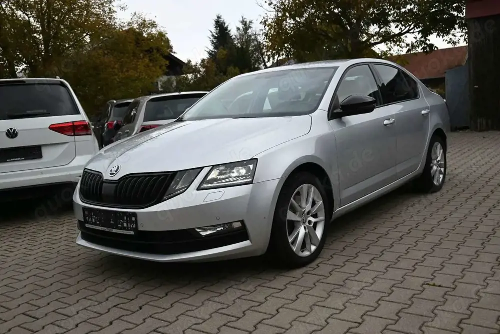 Skoda Octavia 2.0 TDI DSG 4x4 Style/Virtual/Matrix-LED