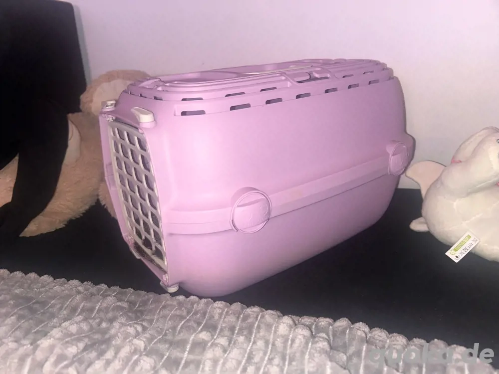 Katzen Transportbox  Katzen Transportbox