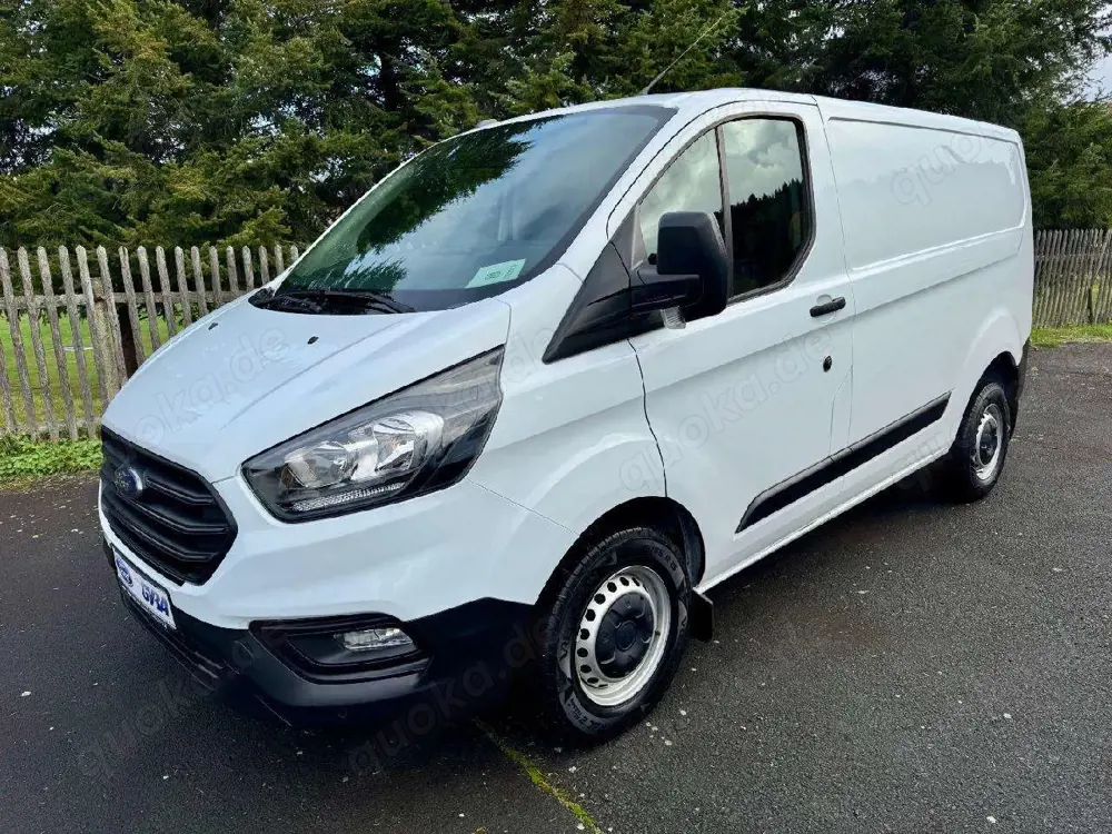 Ford Transit Custom 260 L1 Startup