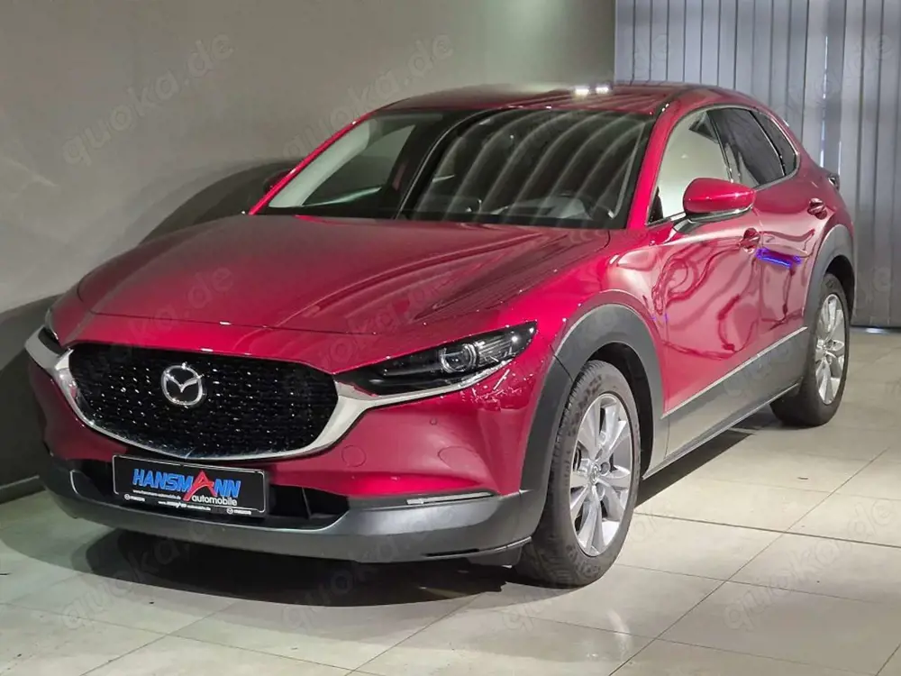 Mazda CX-30 Selection G-122/MT/Keyless/Navi/Head-Up/Matrix-LED