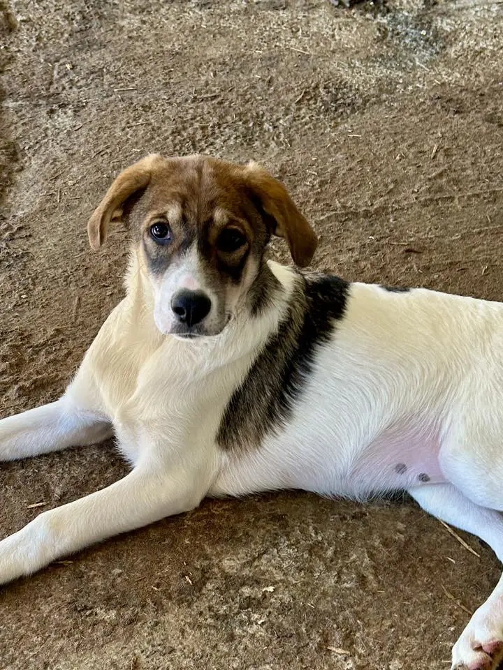 Fiona ist so bezaubernd 