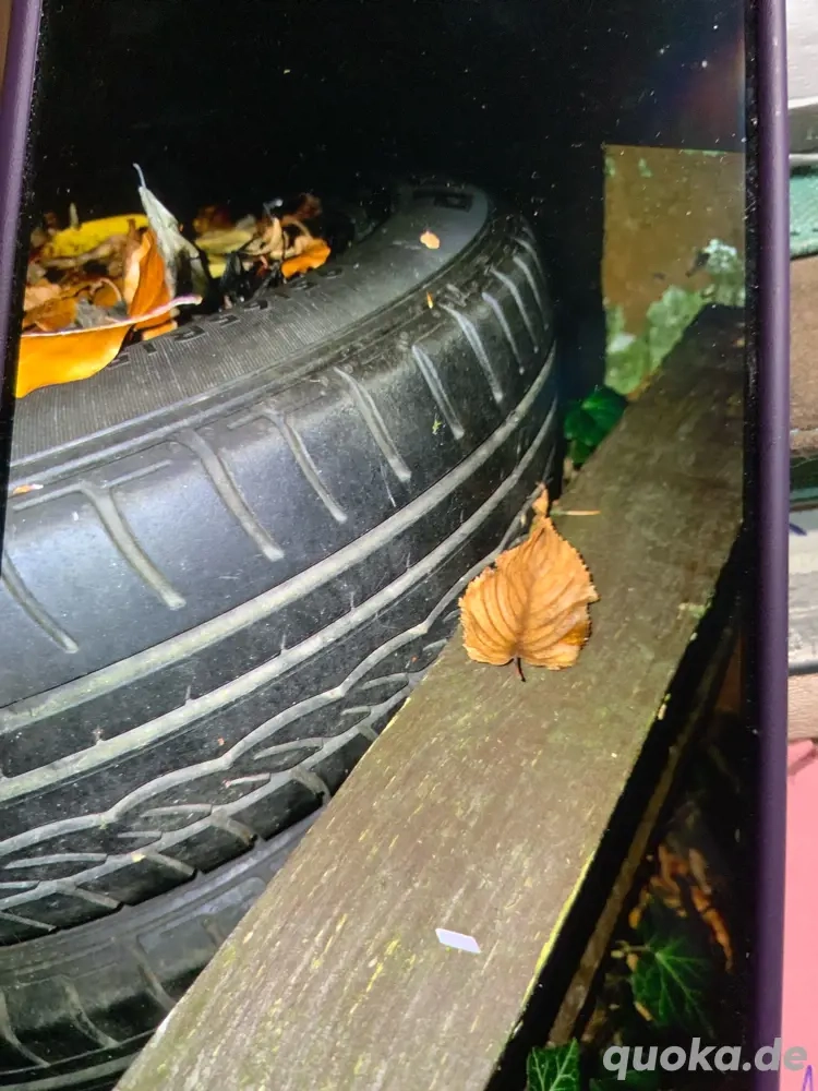 4 sommerreifen mit Felgen ,195 65 R15, vw