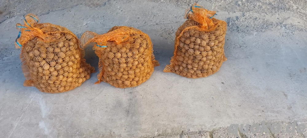 Deutsche Wallnüsse 2025