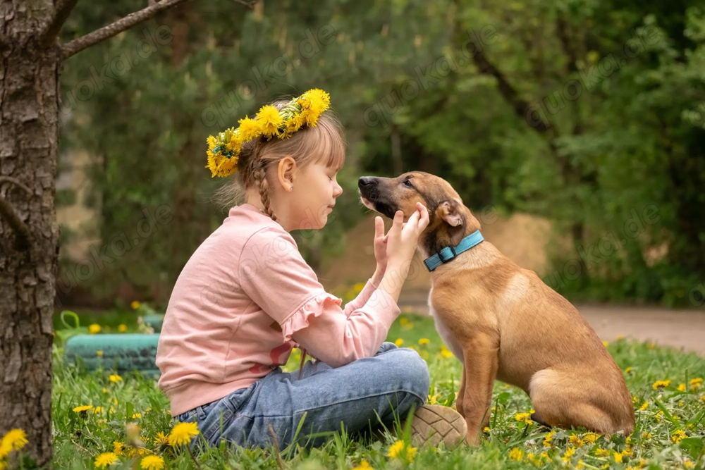 Tim sucht sein Traumzuhause - ein lebensfroher, neugieriger Junge mit großem Herz!
