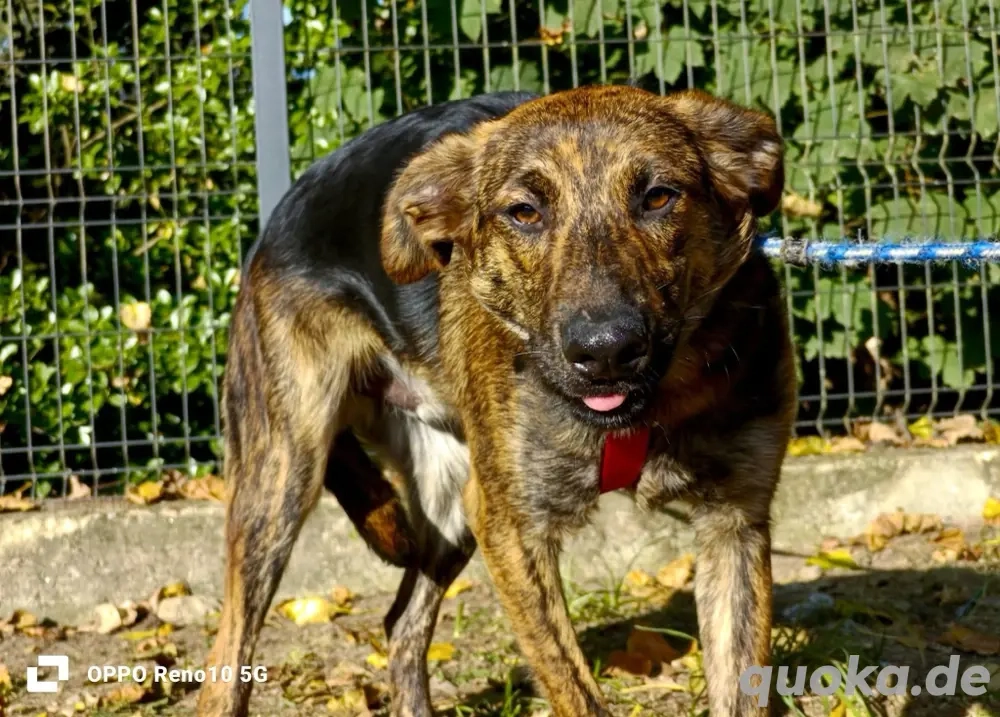 JASON    bereit für sein Happy End