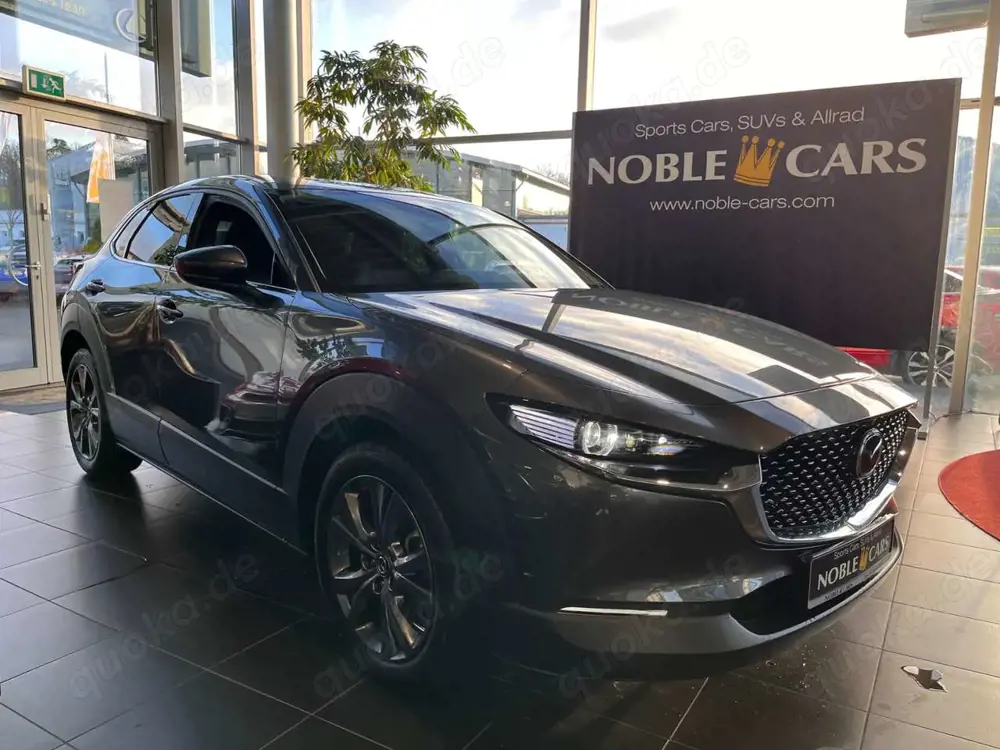 Mazda CX-30 Selection AWD AHK 360° MATRIX LED NAV 18"