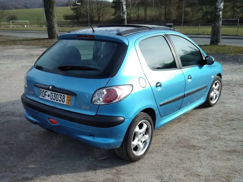 Peugeot 206 206 75 Roland Garros