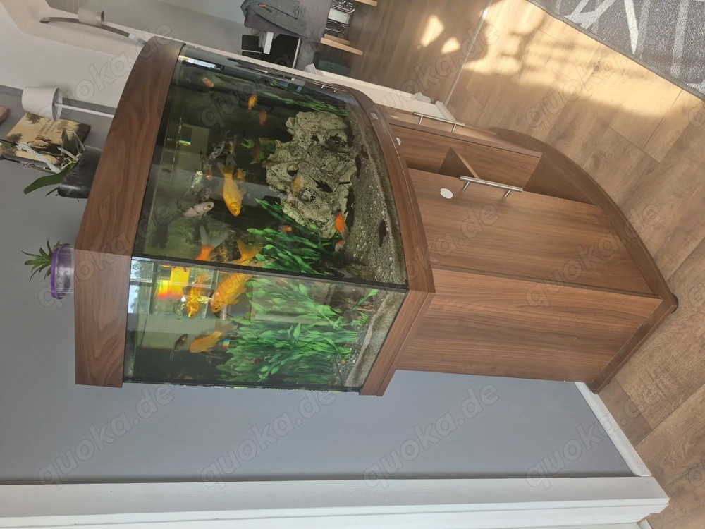 Verkaufen unser Aquarium komplett