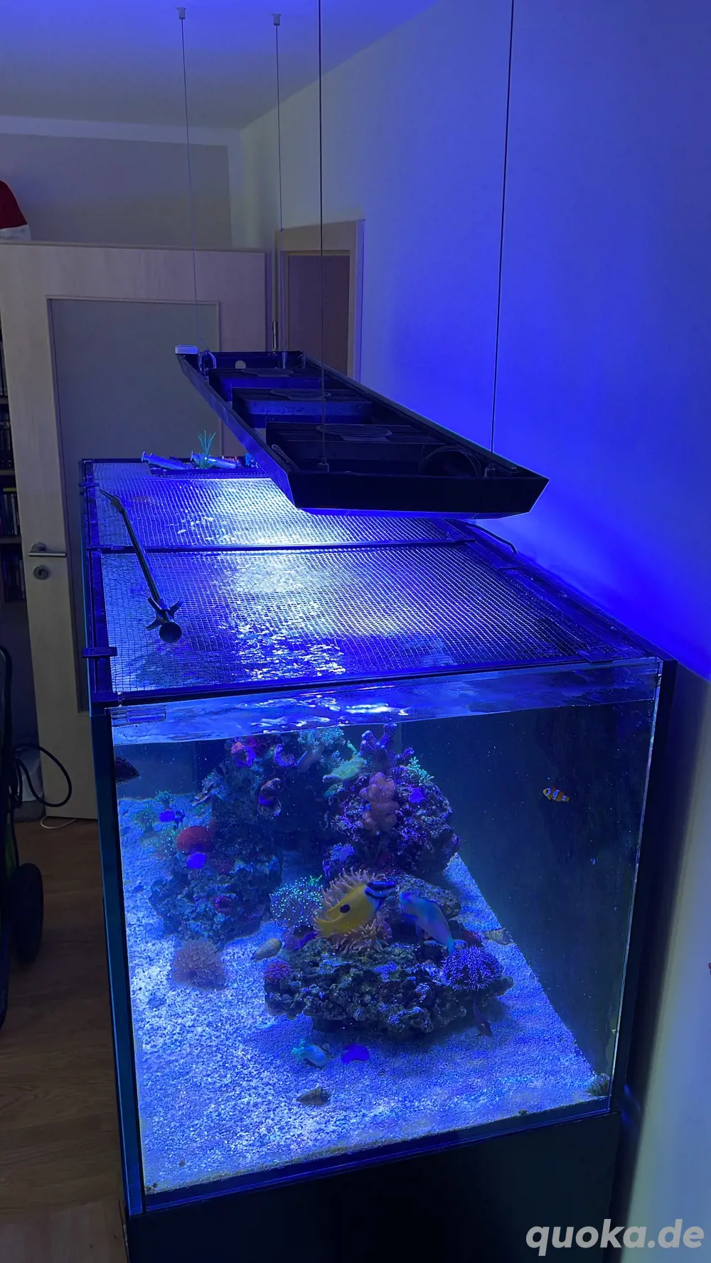 Komplette Technik Meerwasseraquraium 