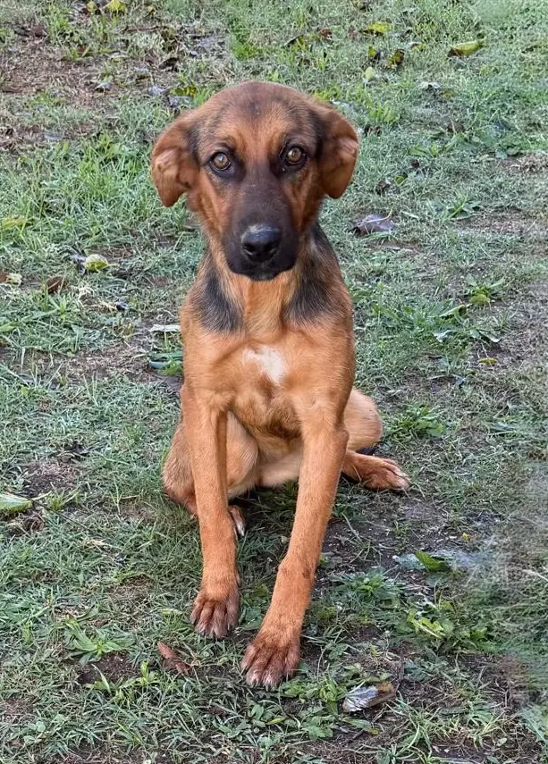 Die  zauberhafte Lilo sucht das Glück 