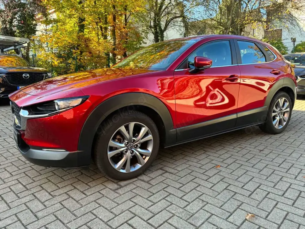 Mazda CX-30 SKYACTIV-G 122 AT SELECTION Leder AHK