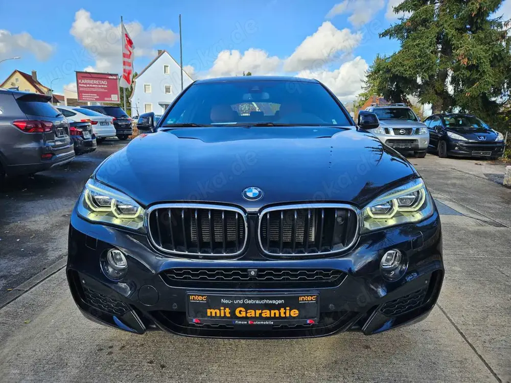BMW X6 xDrive 30 d 1 Hand/ACC