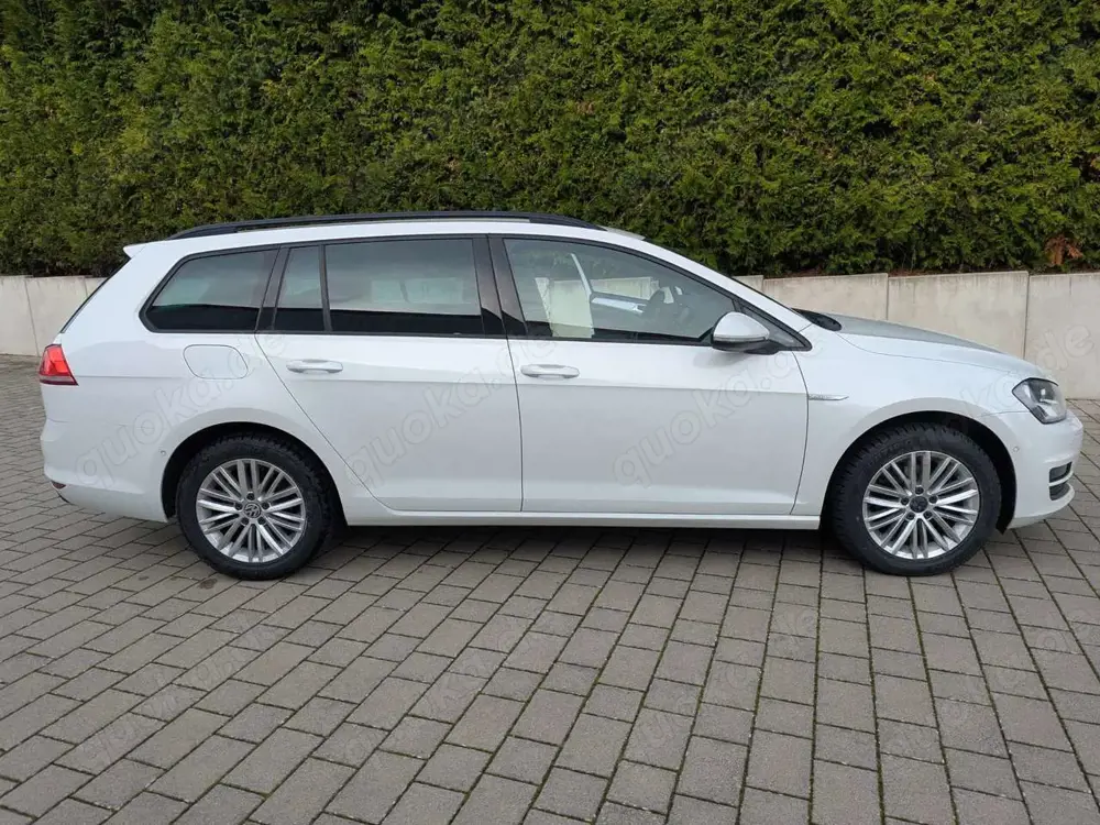 Volkswagen Golf Variant Golf Variant 1.6 TDI BlueMotion Technology Cup