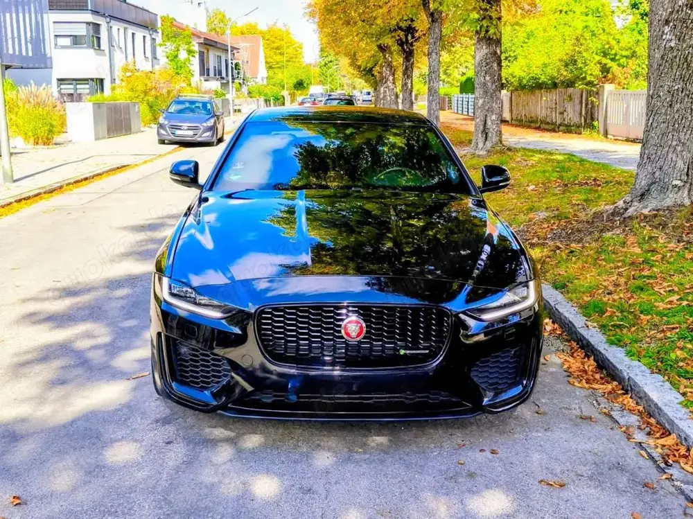 Jaguar XE XE P250 Aut. R-Dynamic SE