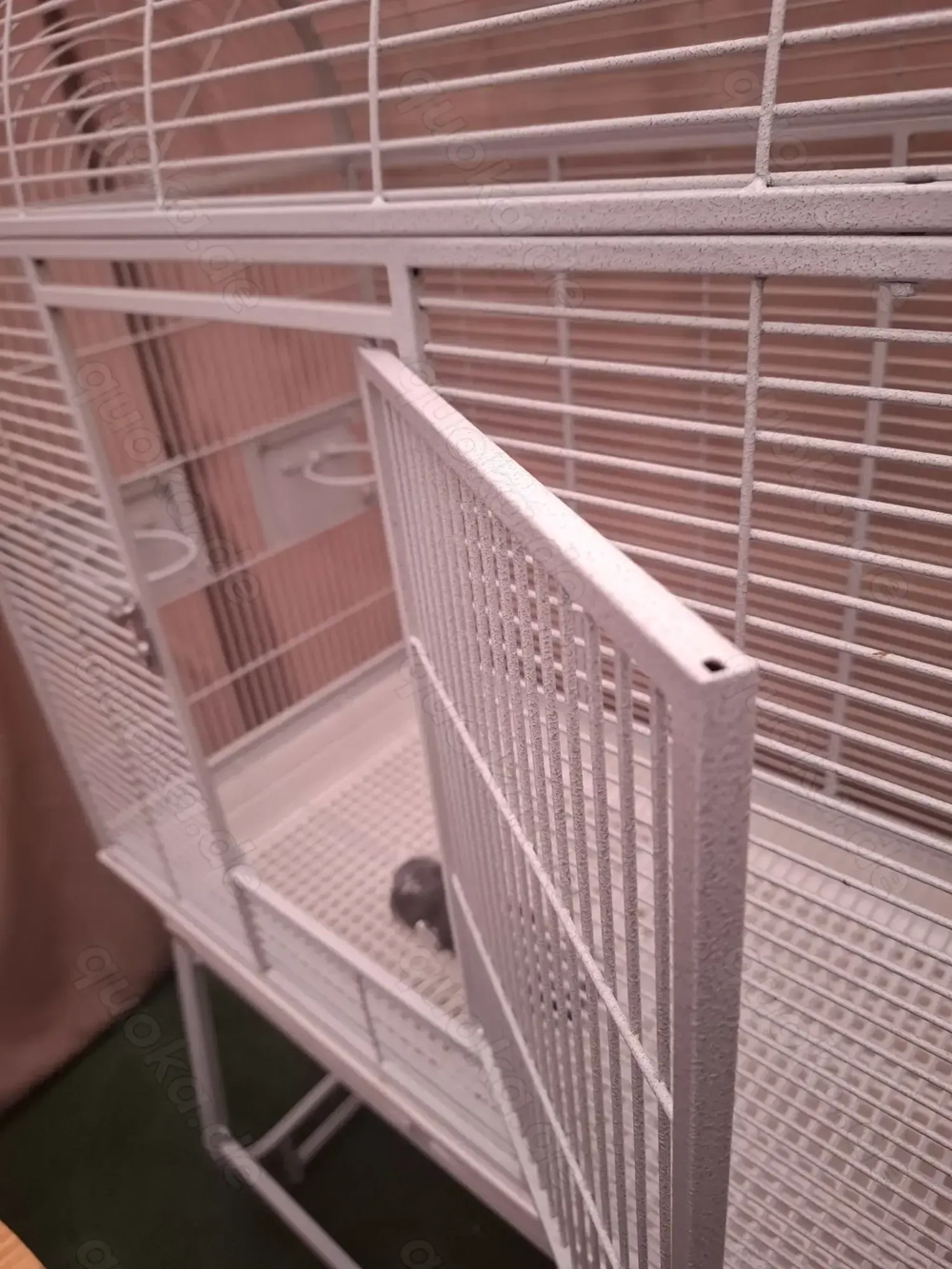 Montana Papagei o.Sittichkäfig