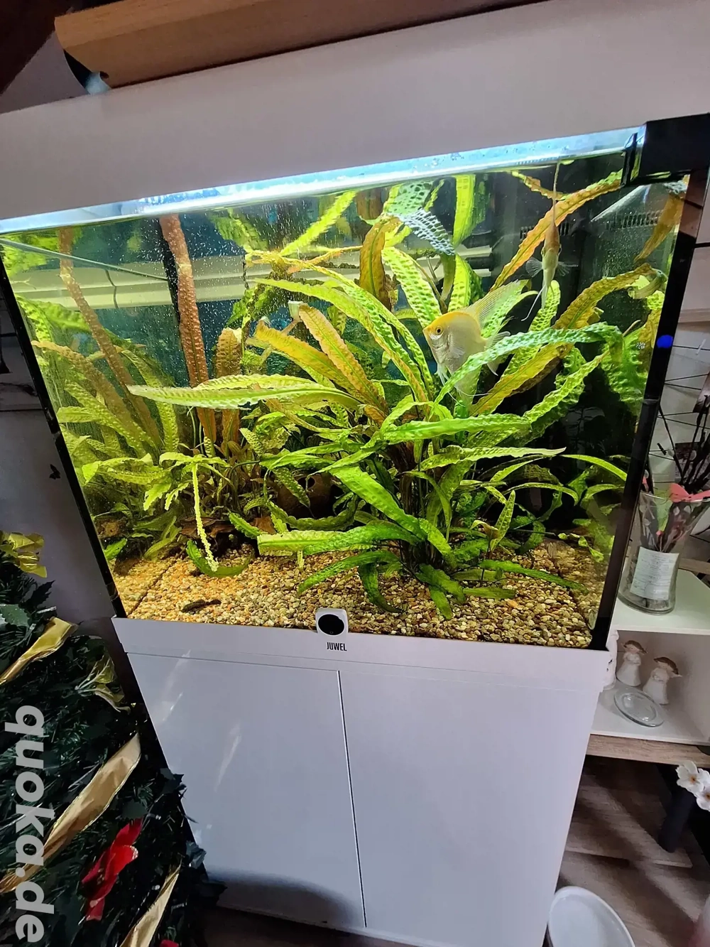 Aquarium Juwel 200l Komplett 