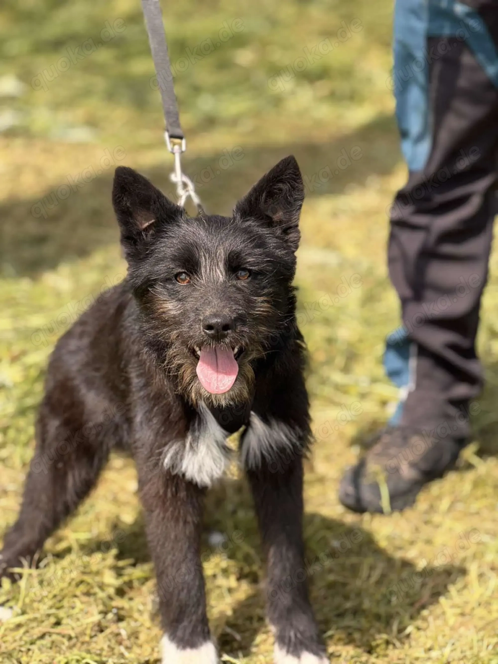 Waskja wartet... und wartet... und wartet 