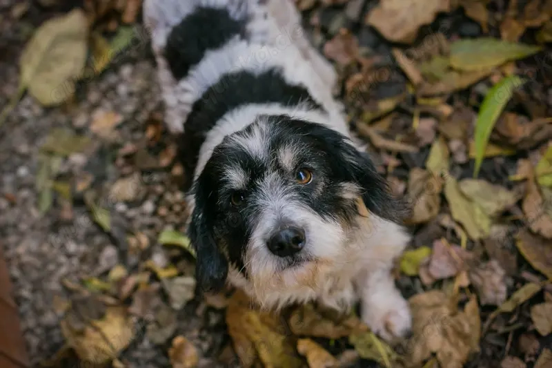 Chip 255536 - "Lernen und üben machen eine Menge Spaß"