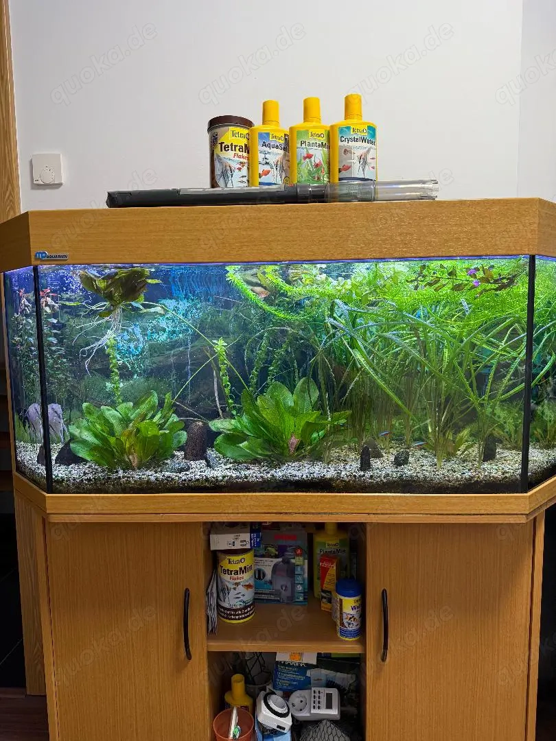 Komplettes Aquarium mit viel Zubehör   nur Abholung!