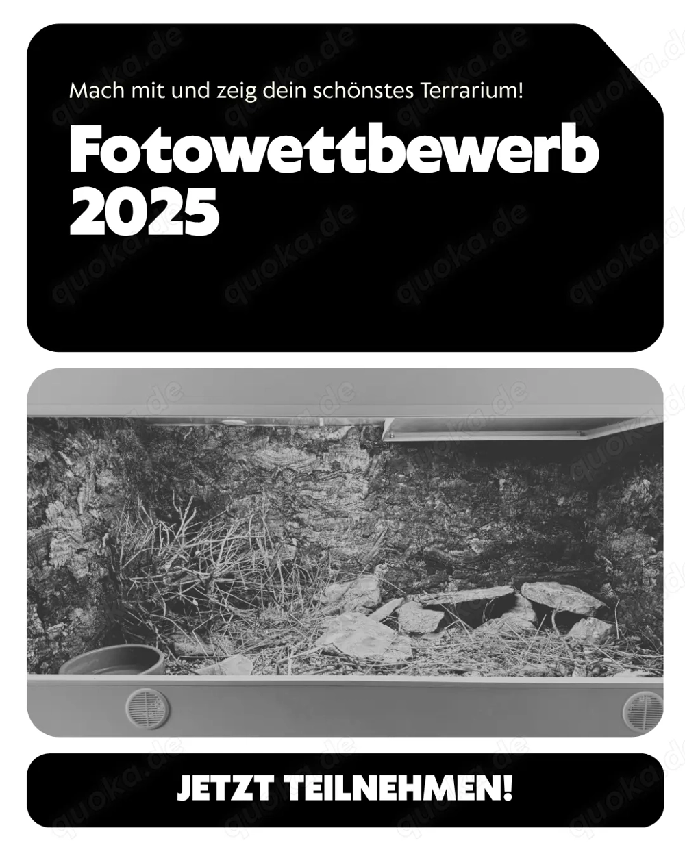RK Terrarienbau Fotowettbewerb 2025