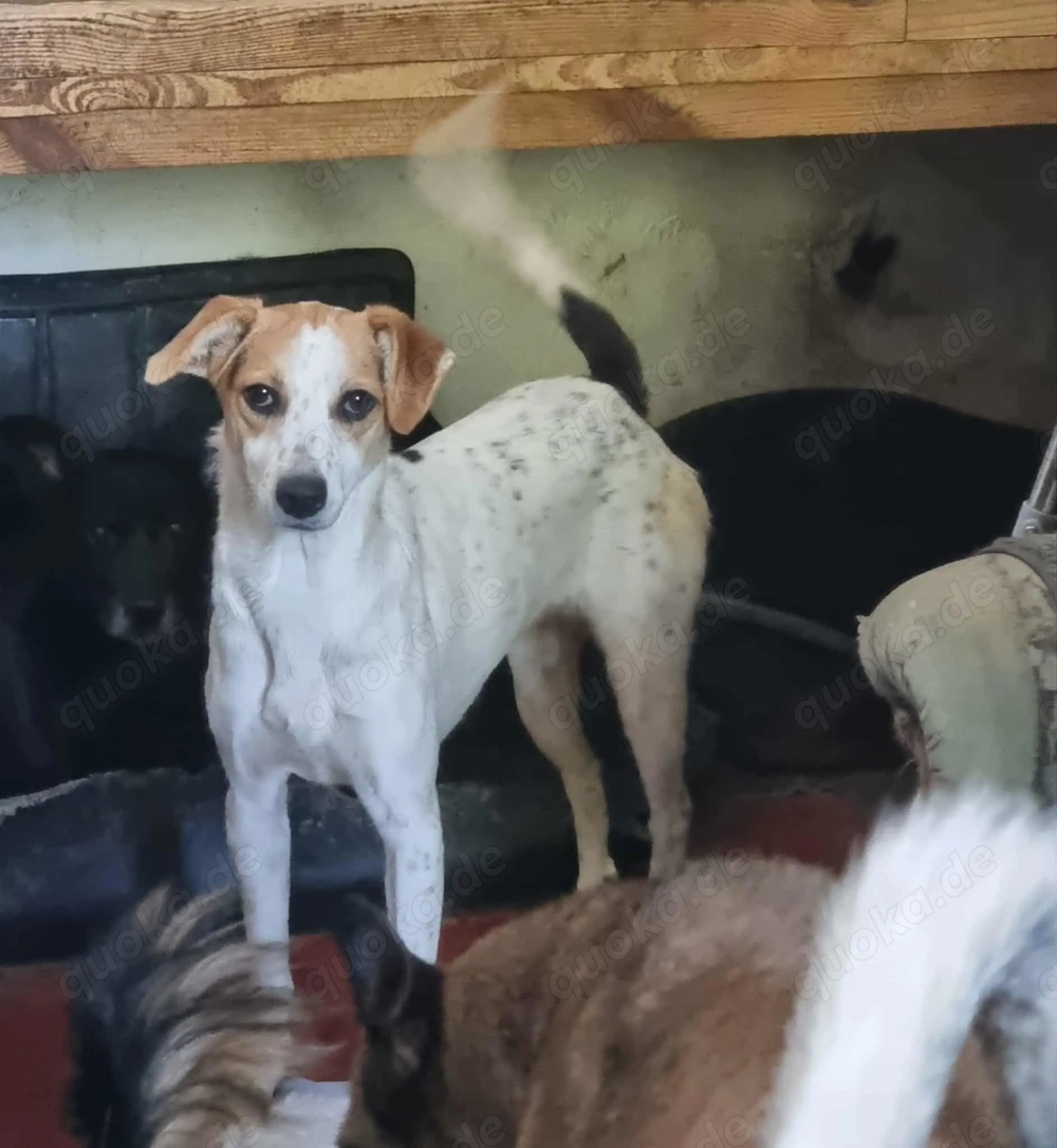  Rema ist jung, ruhig, freundlich. 