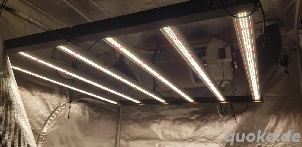 Lumii Black LED Pflanzenleuchte