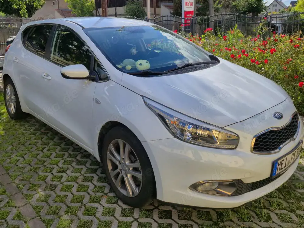 Kia Ceed / cee'd 1.4 CVVT Fifa World Cup Edition