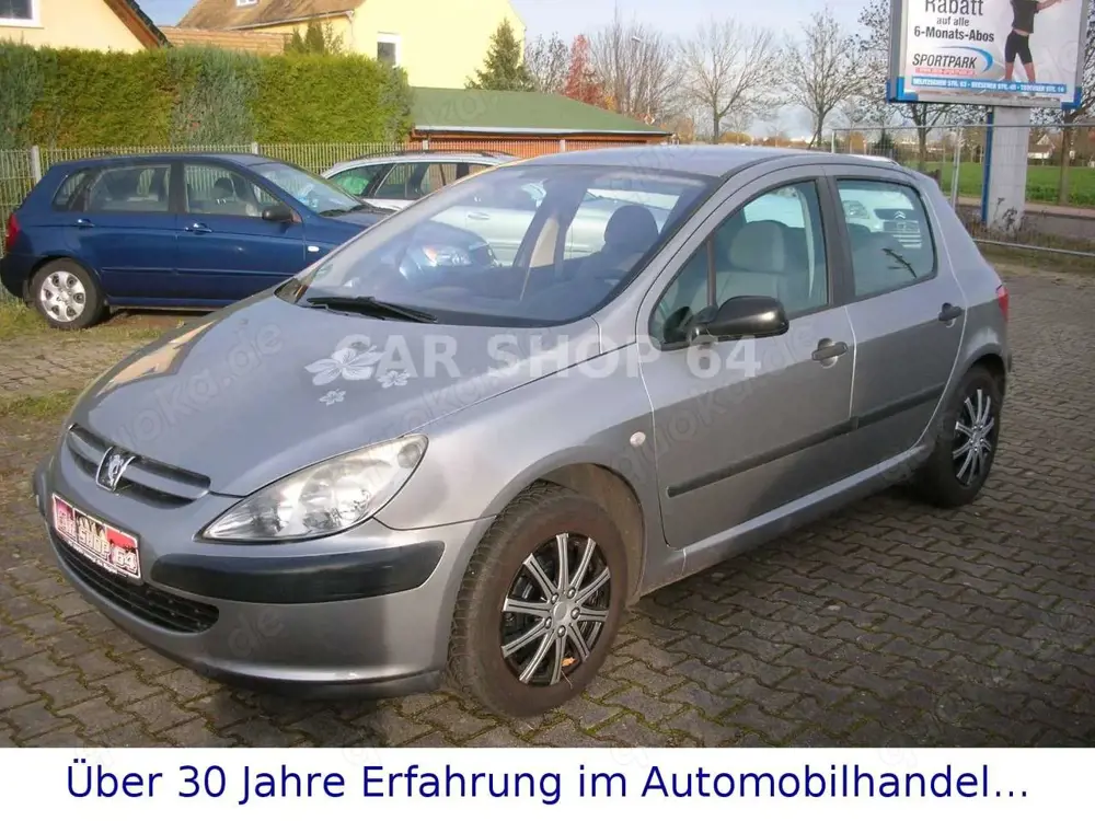 Peugeot 307 Grand Filou 110  -2.HAND-