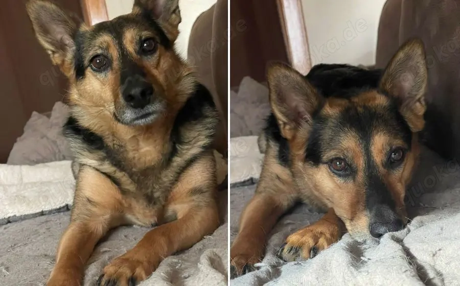 Schenkst du Eva dein Herz?