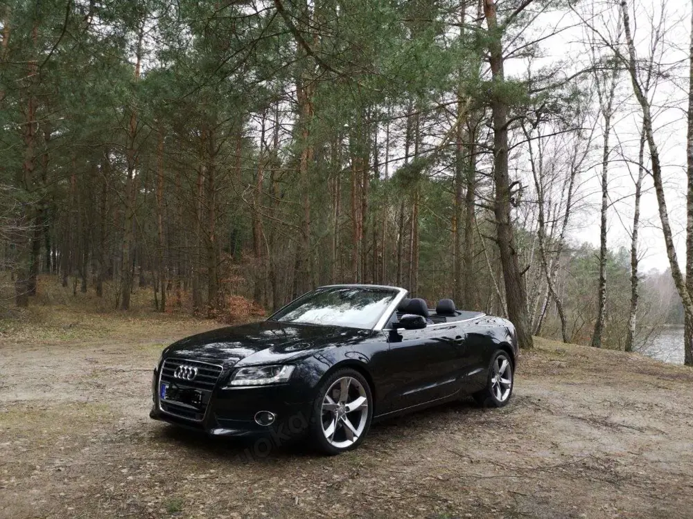 Audi A5 Cabrio 2.0 TDI DPF