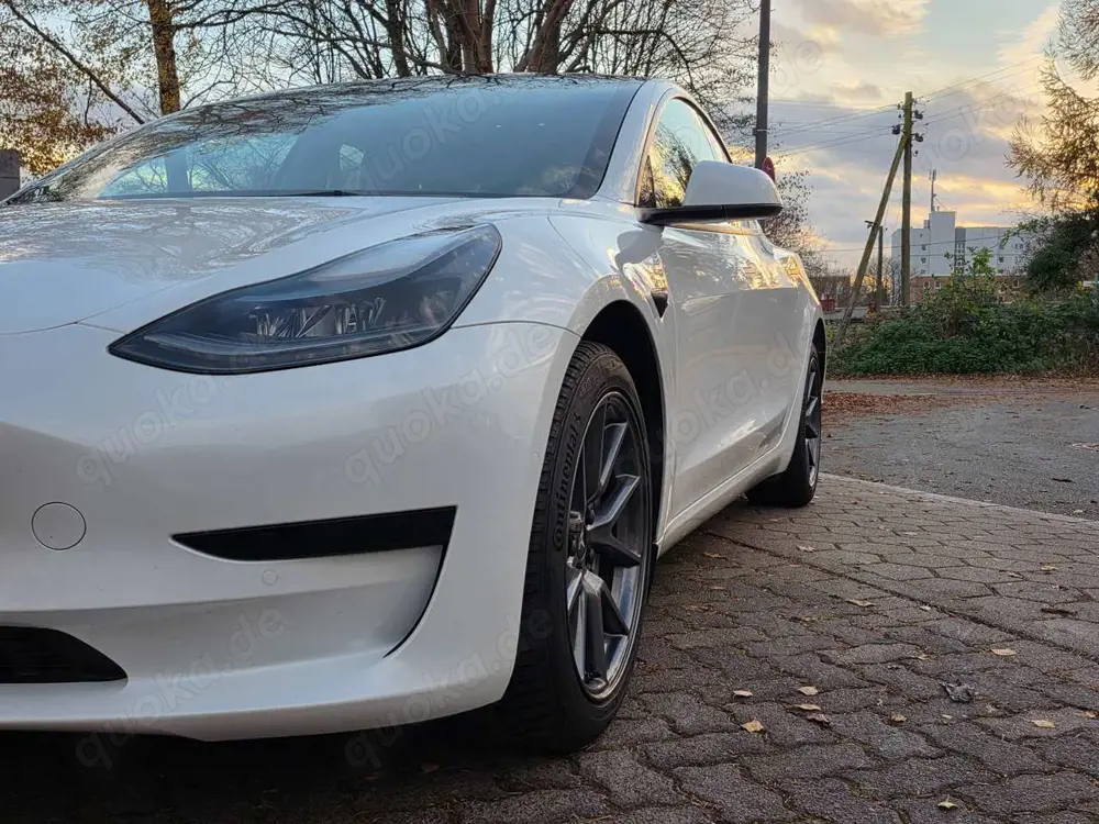 Tesla Model 3 Model 3 Standard Reichweite Plus Hinterradantrieb
