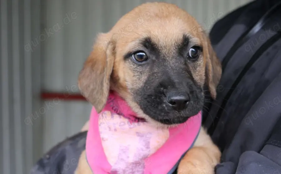 Bei Lovely ist der Name Programm