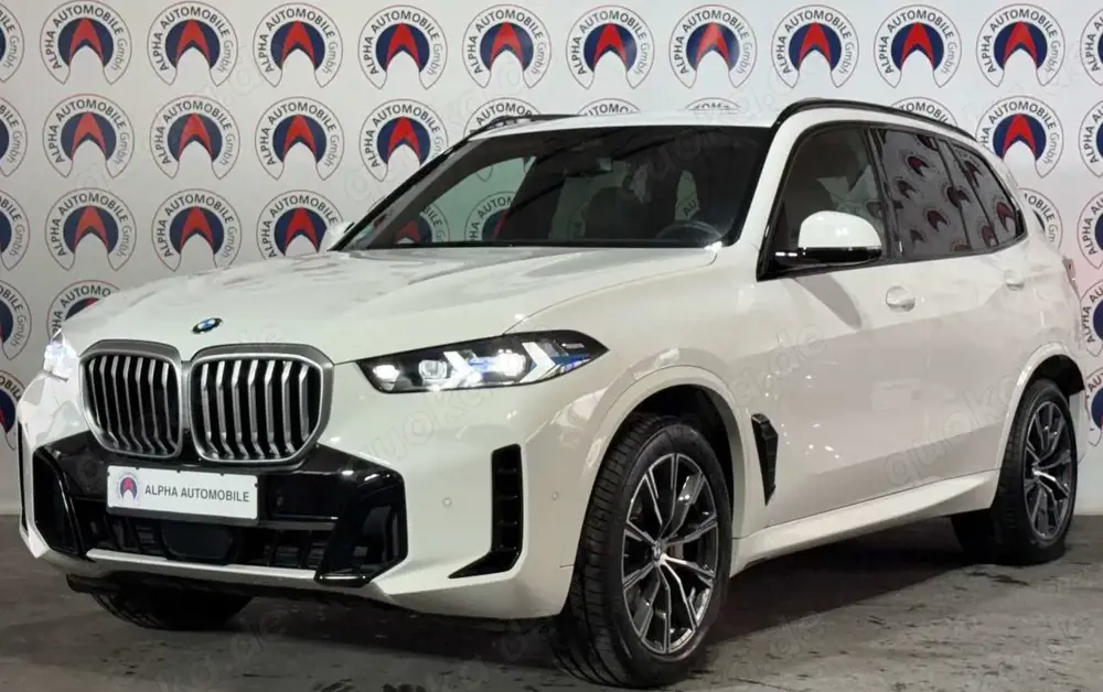 BMW X5 30d xDrive/LED/360Kamera/Anhg/AdaptivesMFahrw
