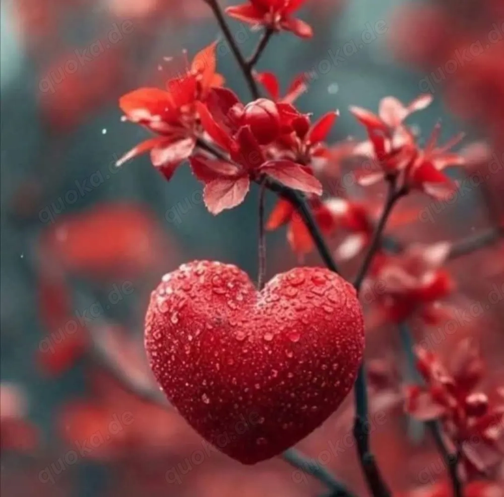 was ist dir wichtig?