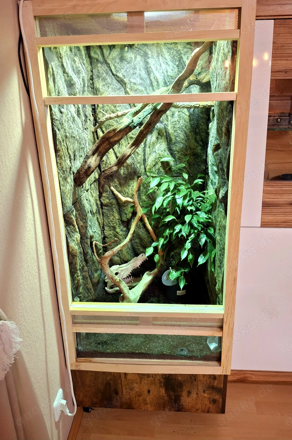 Terrarium 150cmx60cm