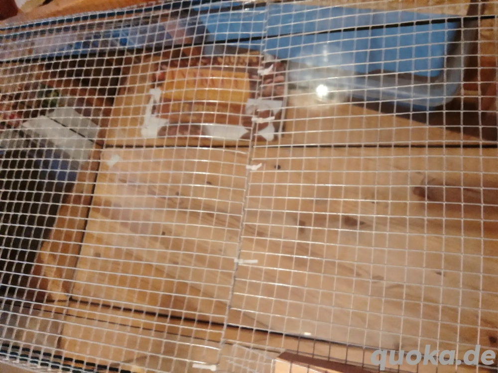 Verkaufe Hamstergehege mit Zubehör