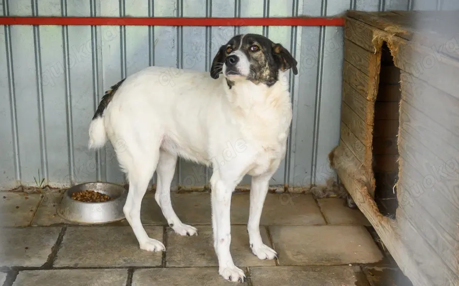 Zeynep kann tatsächlich lächeln!