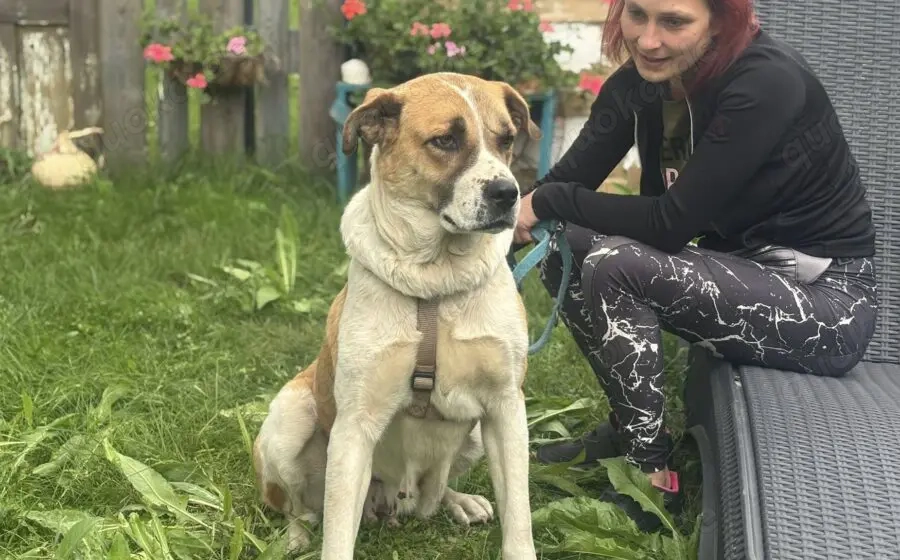 Verliebst du dich in die tolle Annie?