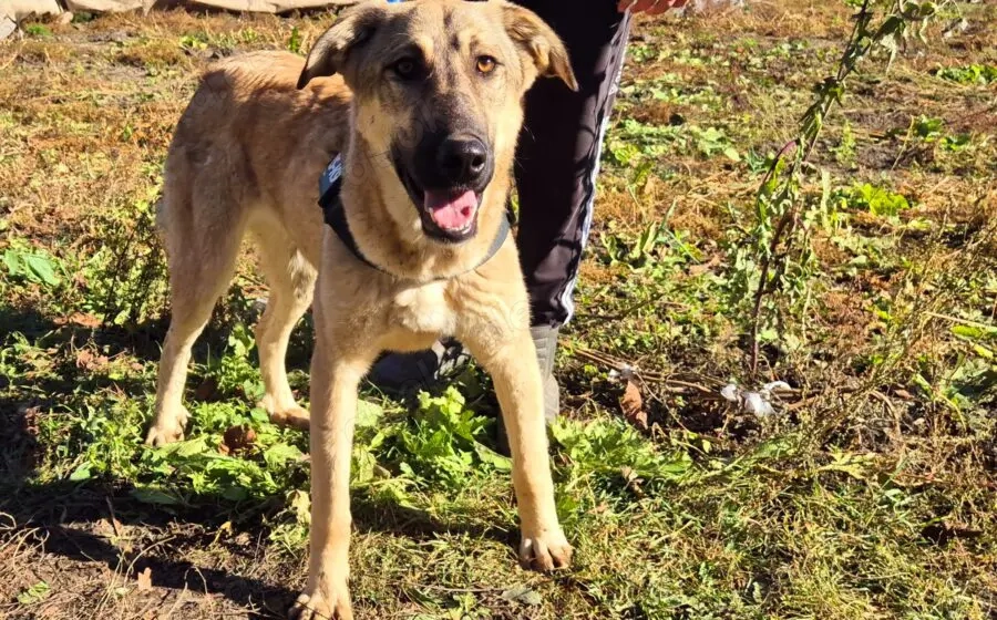 Hope blickt hoffnungsvoll in die Zukunft