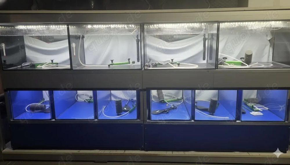 Aquarium Anlage für Börsen,Messen oder Zucht