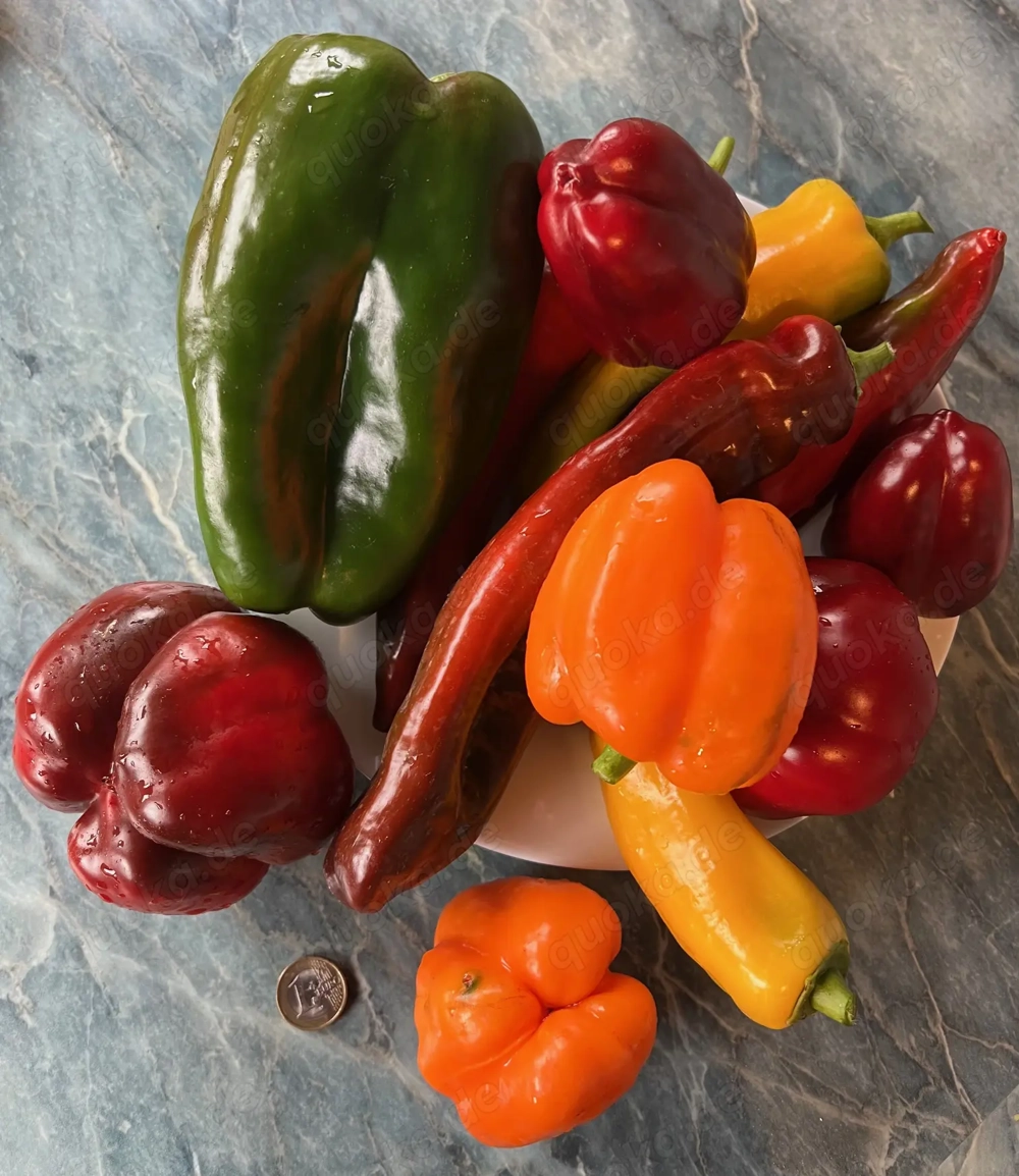 Paprika Samen verschiedene Sorten
