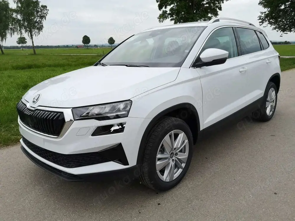 Skoda Karoq 2.0 TDI Selection DSG GV5 AHK 17 Ladeb