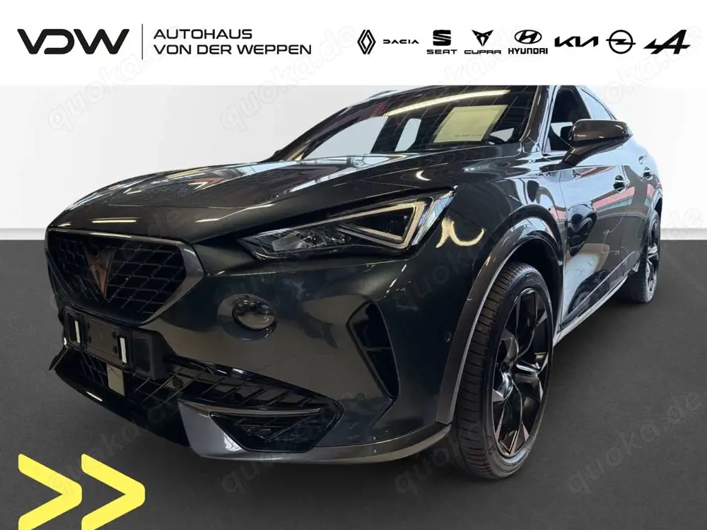 CUPRA Formentor VZ 4Drive 2.0 TSI AHK Klima Navi Leder
