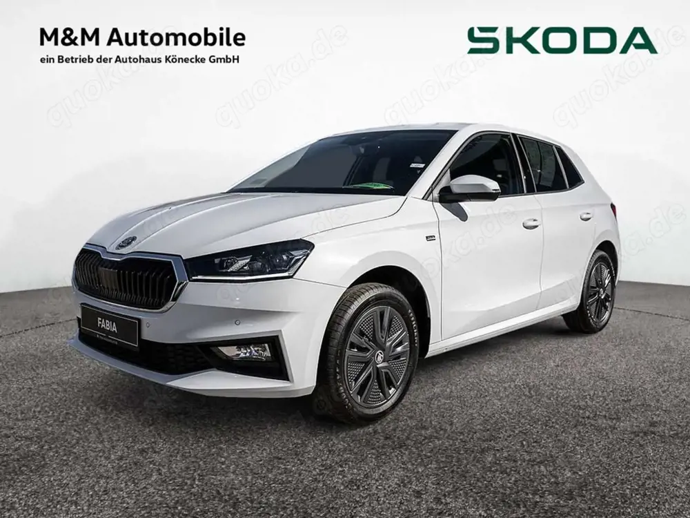 Skoda Fabia 1.0 TSI Tour LED KAMERA SHZ PDC KLIMA