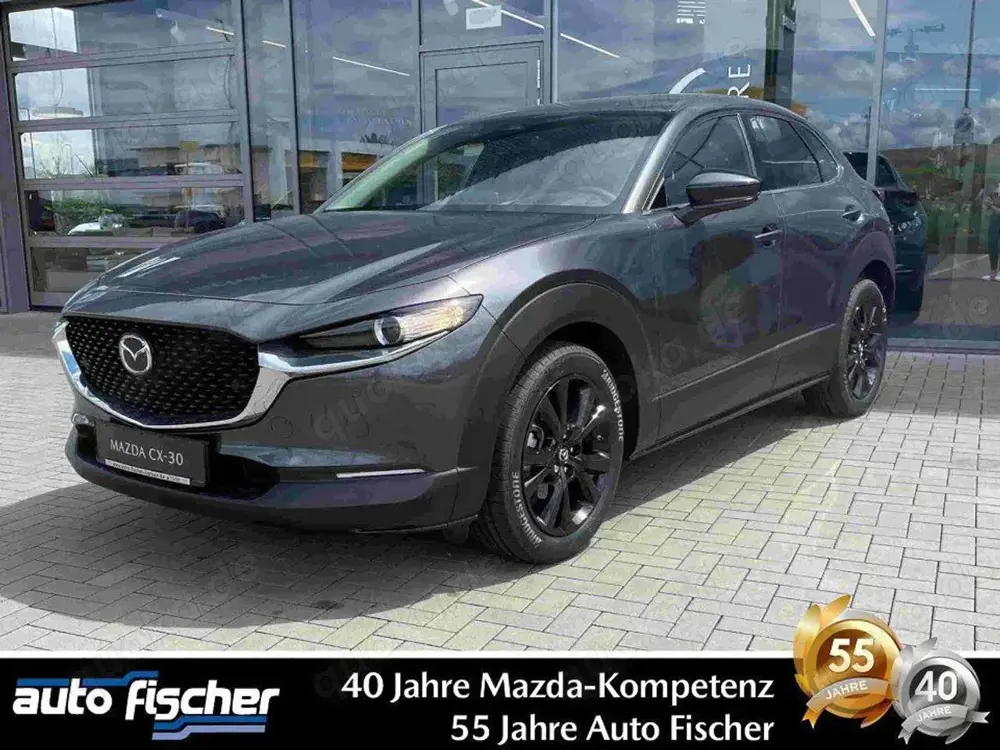 Mazda CX-30 2.0 (186PS) Autom. Homura Rückfahrk. Navi