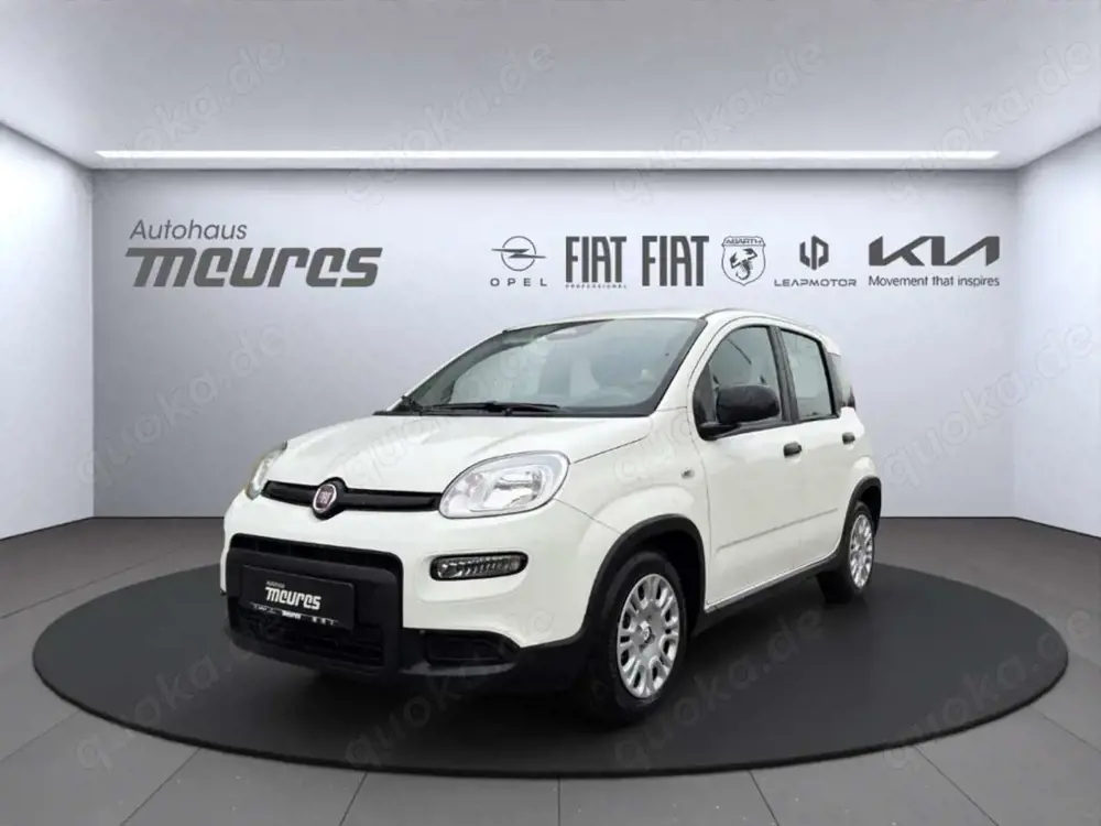 Fiat Panda PANDINA Hybrid 70 PS, Allwetter, Gelato Weiß, Klim