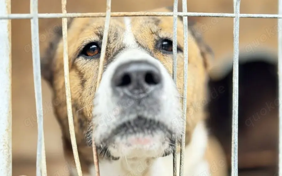 Vorsichtig hält Liana Ausschau