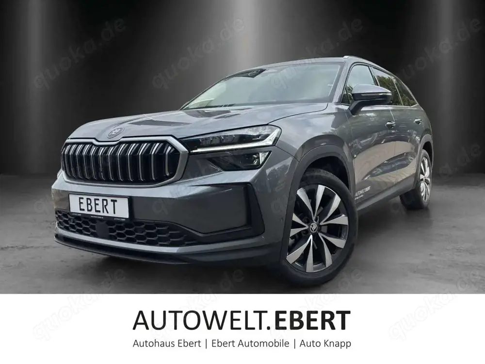 Skoda Kodiaq Selection 2,0 TDI 142 kW DSG 4x4