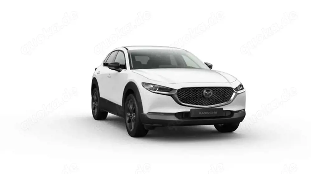 Mazda CX-30 2.5 Homura *Klimaautomatik*Sitzheizung*